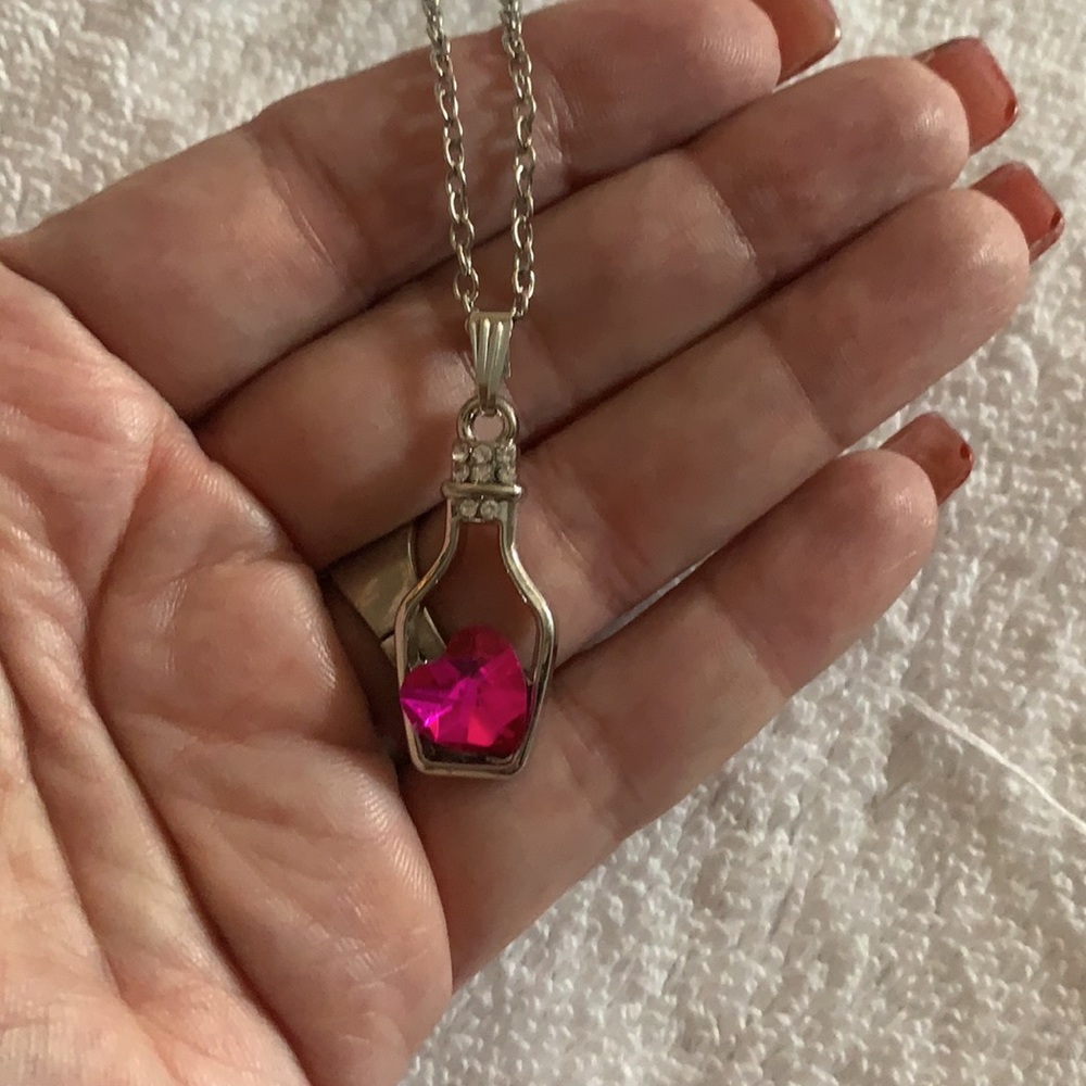 NWT silver chain bottle with heart necklace